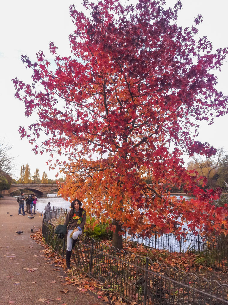 Hyde Park Arbol Rojo