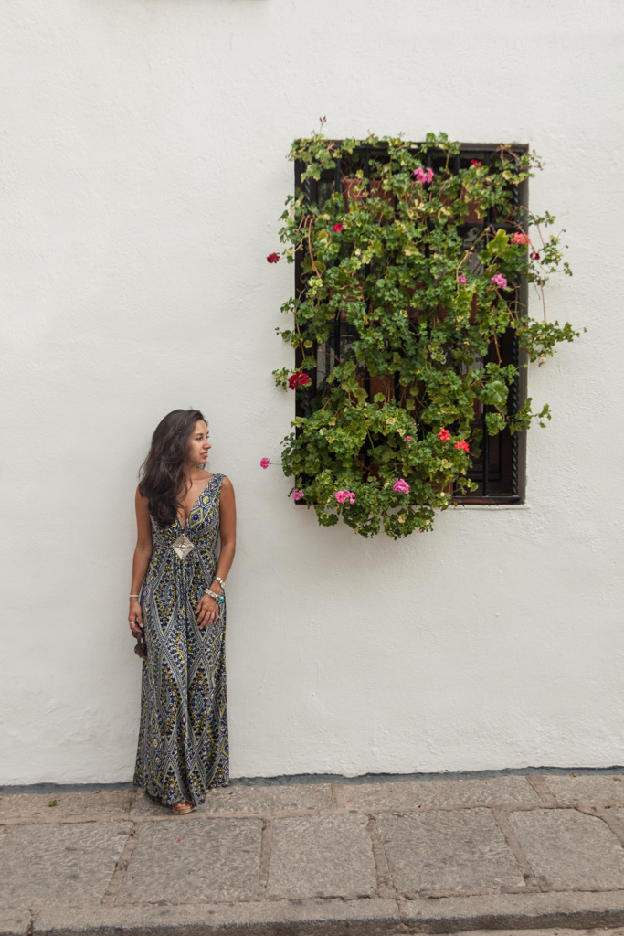 Teresa ventanas andaluzas