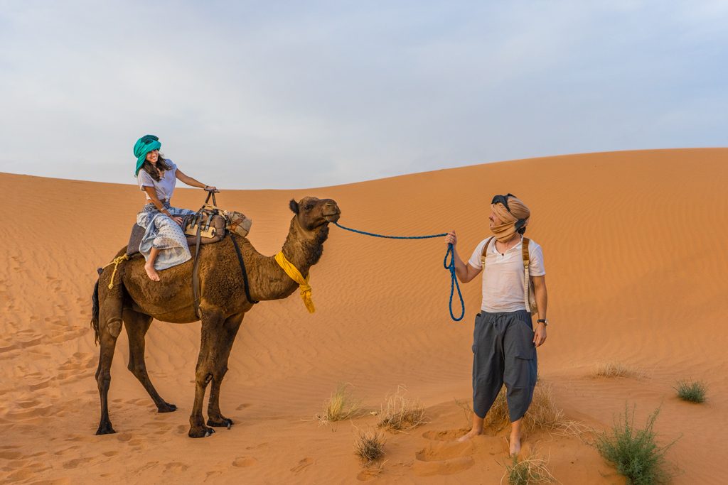 Merzouga Camels