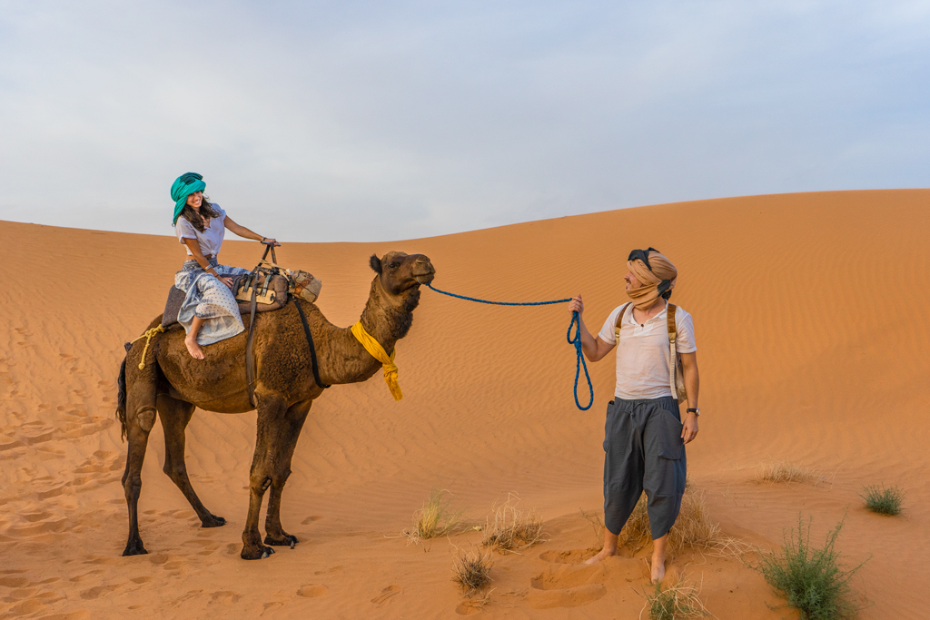 Merzouga Camels