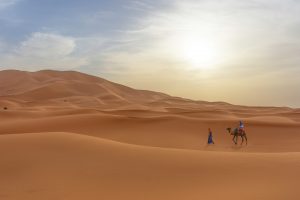 Lee más sobre el artículo Viajar a Marruecos – Excursiones y cómo evitar contratiempos