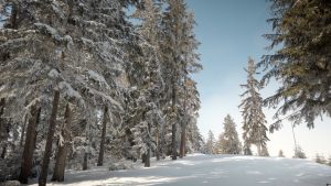 Lee más sobre el artículo Destino alucinante y barato para deportes de nieve.<p>Conoce Bulgaria.</p>