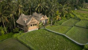 Lee más sobre el artículo El mejor alojamiento en Ubud, Bali<p>Firefly Bamboo House